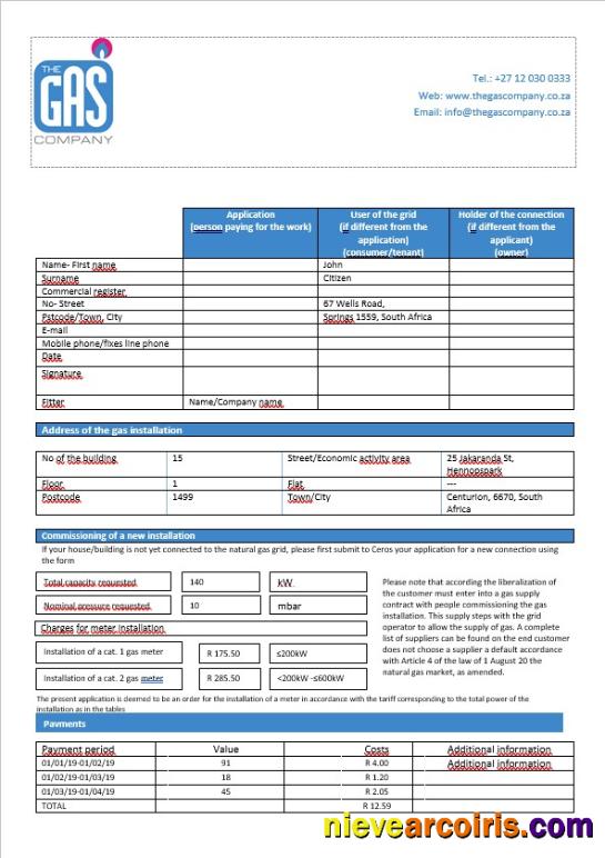 South Africa The GAS Company gas bill